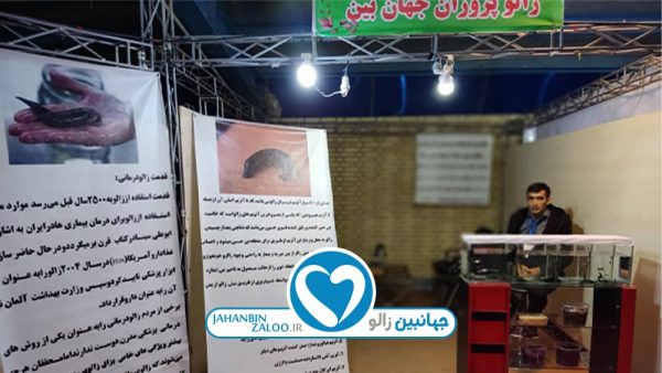 زالو پروران جهان بین
