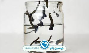 آیا زالودرمانی عوارض جانبی دارد؟