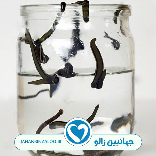 در صورت بروز عفونت چه باید کرد